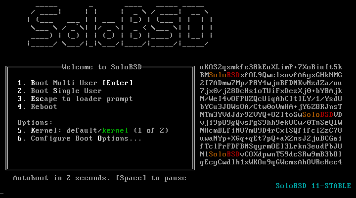 Introduction to HardenedBSD World |