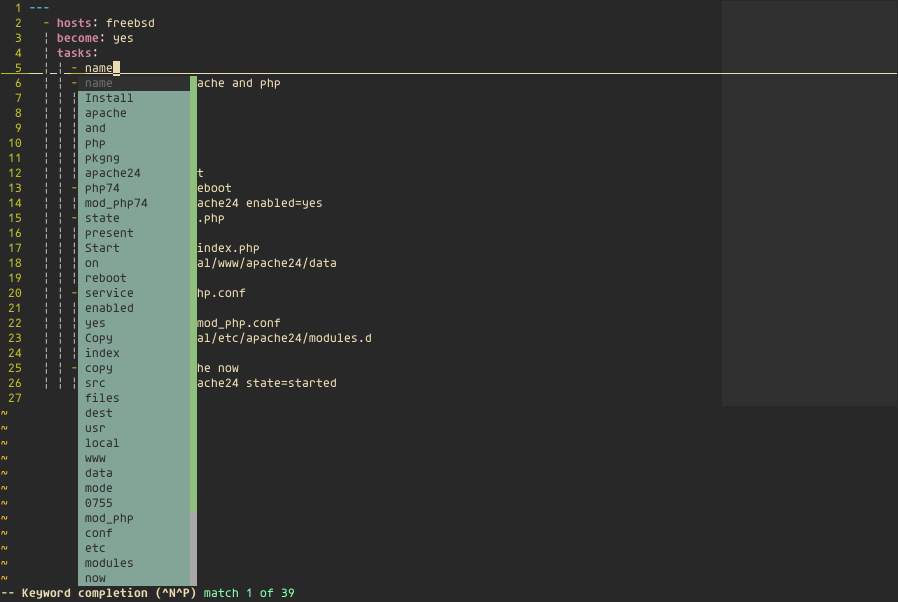vim.config.completions